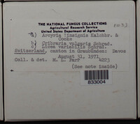 Image Associated With the Occurence